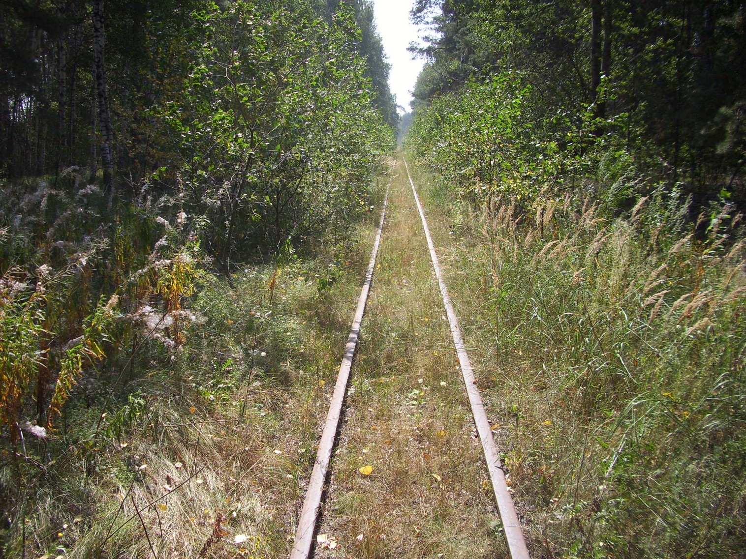 Рязанско-Владимирская узкоколейная железная дорога — фотографии, сделанные в 2011 году (часть 5)