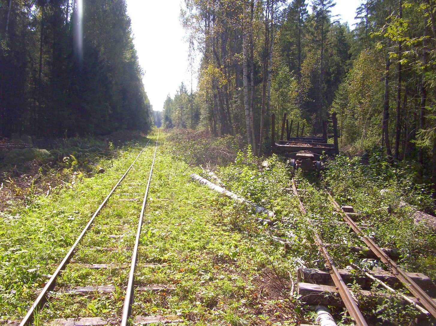 Кневицкая узкоколейная железная дорога — фотографии, сделанные в 2011 году (часть 19)