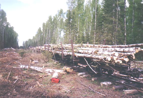 Кневицкая узкоколейная железная дорога — фотографии, сделанные в 2004 году (часть 2)