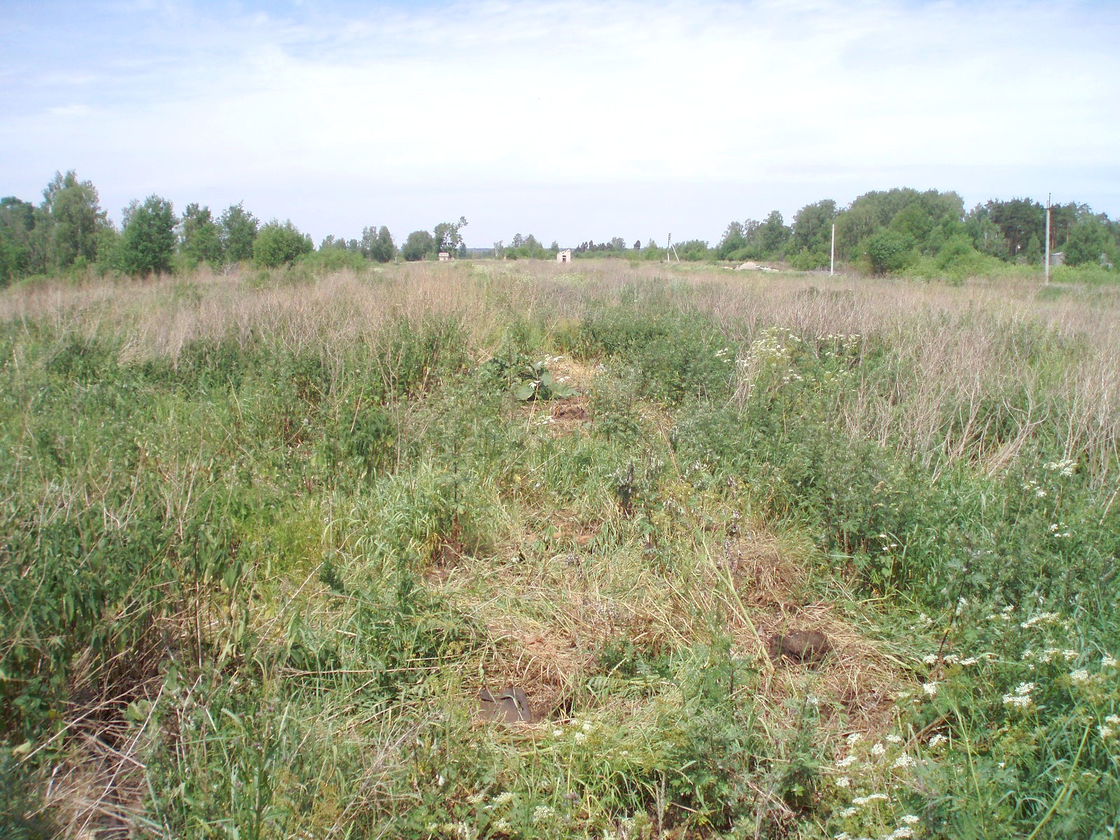 Узкоколейная железная дорога Редкинского предприятия промышленного железнодорожного транспорта - фотографии, сделанные в 2007 году (часть 1)
