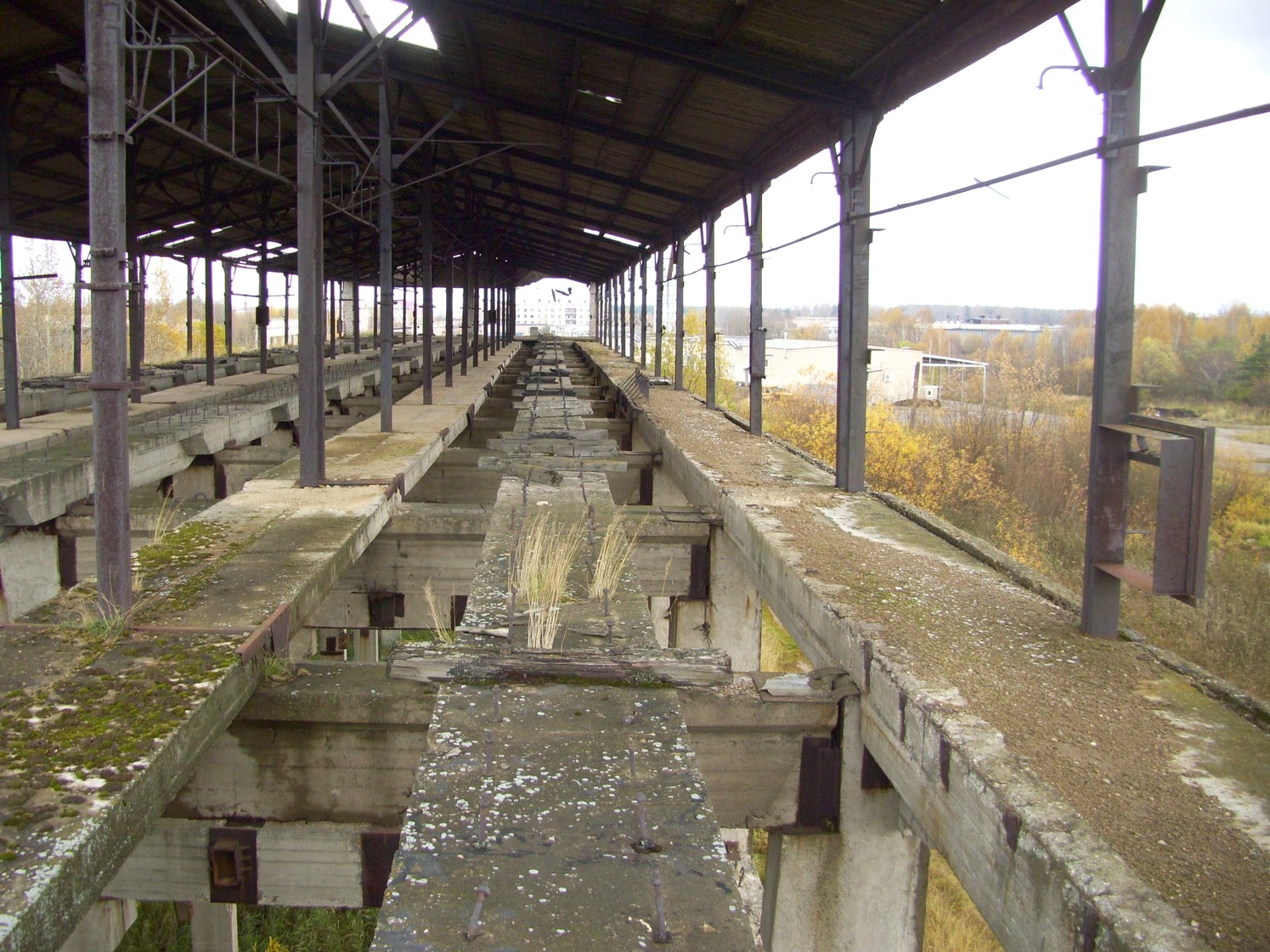 Узкоколейная железная дорога Редкинского предприятия промышленного железнодорожного транспорта — фотографии, сделанные в 2009 году (часть 2)