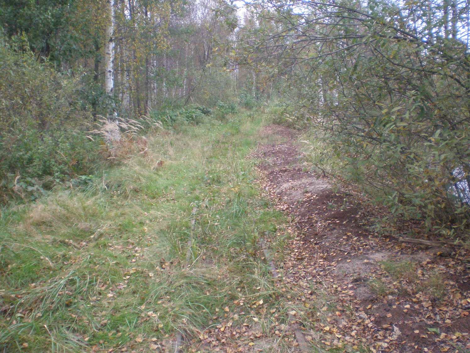 Узкоколейная железная дорога Радовицкого  транспортного управления — фотографии, сделанные в 2008 году (часть 9)