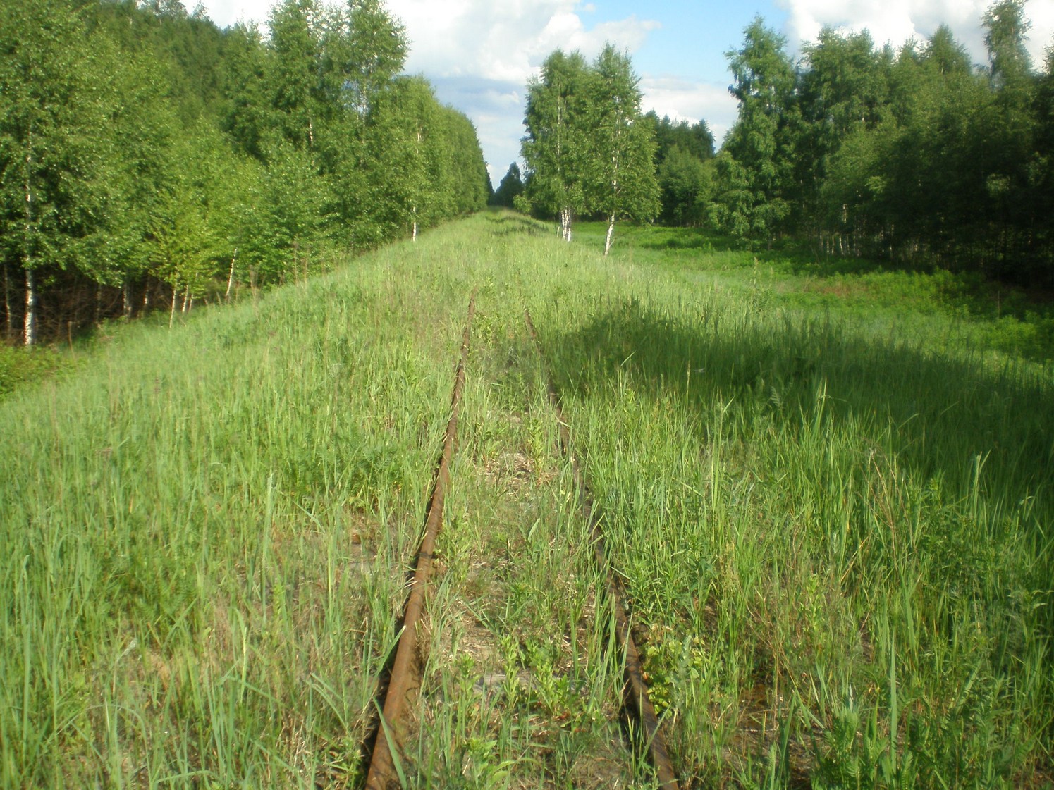 Узкоколейная железная дорога Радовицкого  транспортного управления — фотографии, сделанные в 2009 году (часть 11)