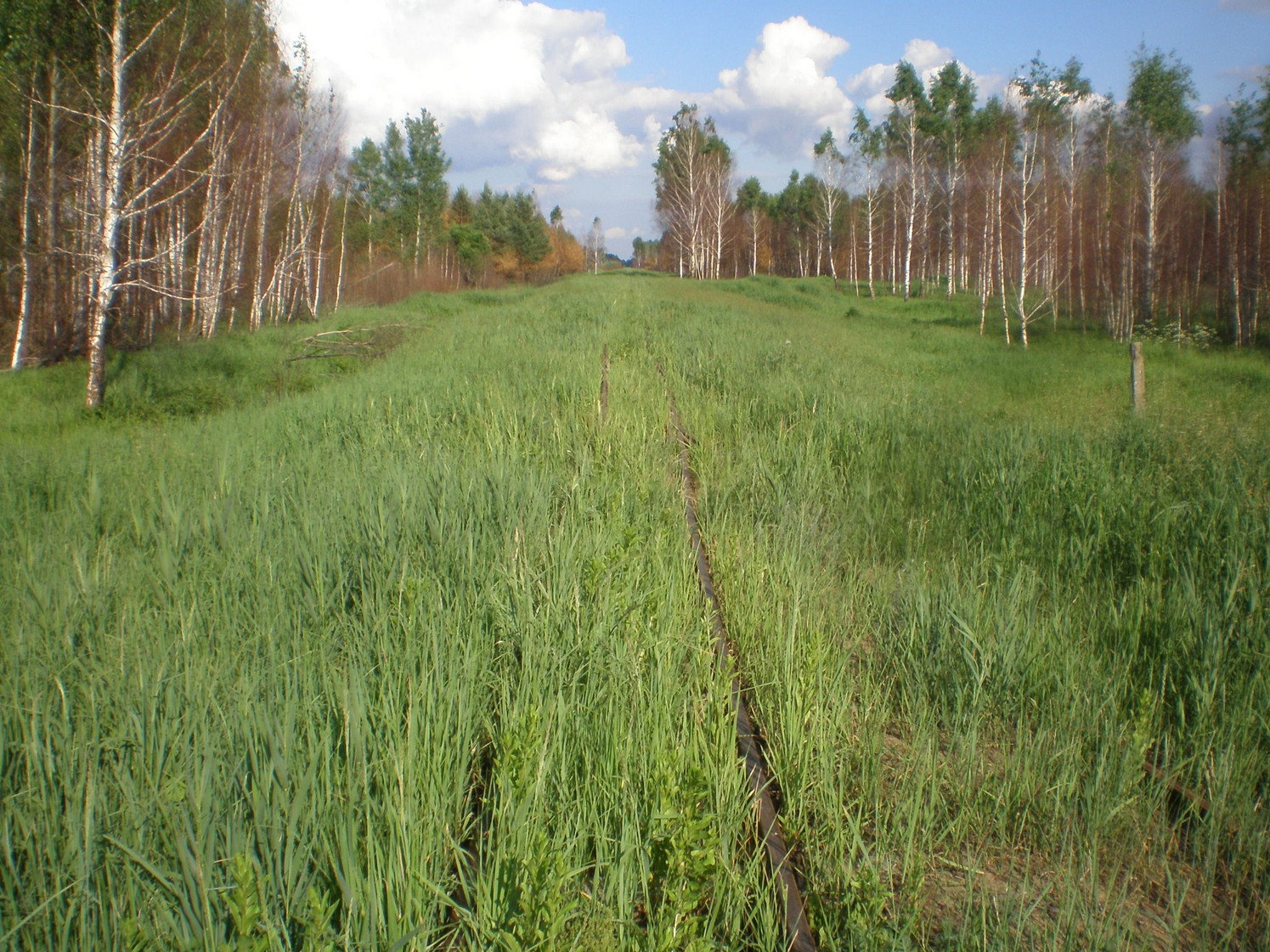 Узкоколейная железная дорога Радовицкого  транспортного управления — фотографии, сделанные в 2009 году (часть 13)