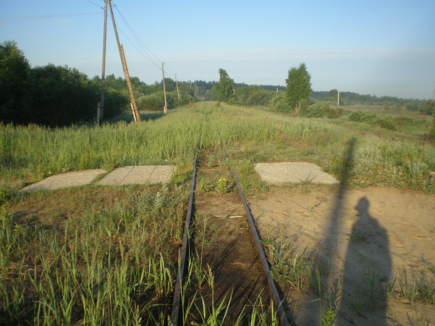 Узкоколейная железная дорога Радовицкого  транспортного управления — фотографии, сделанные в 2009 году (часть 28)