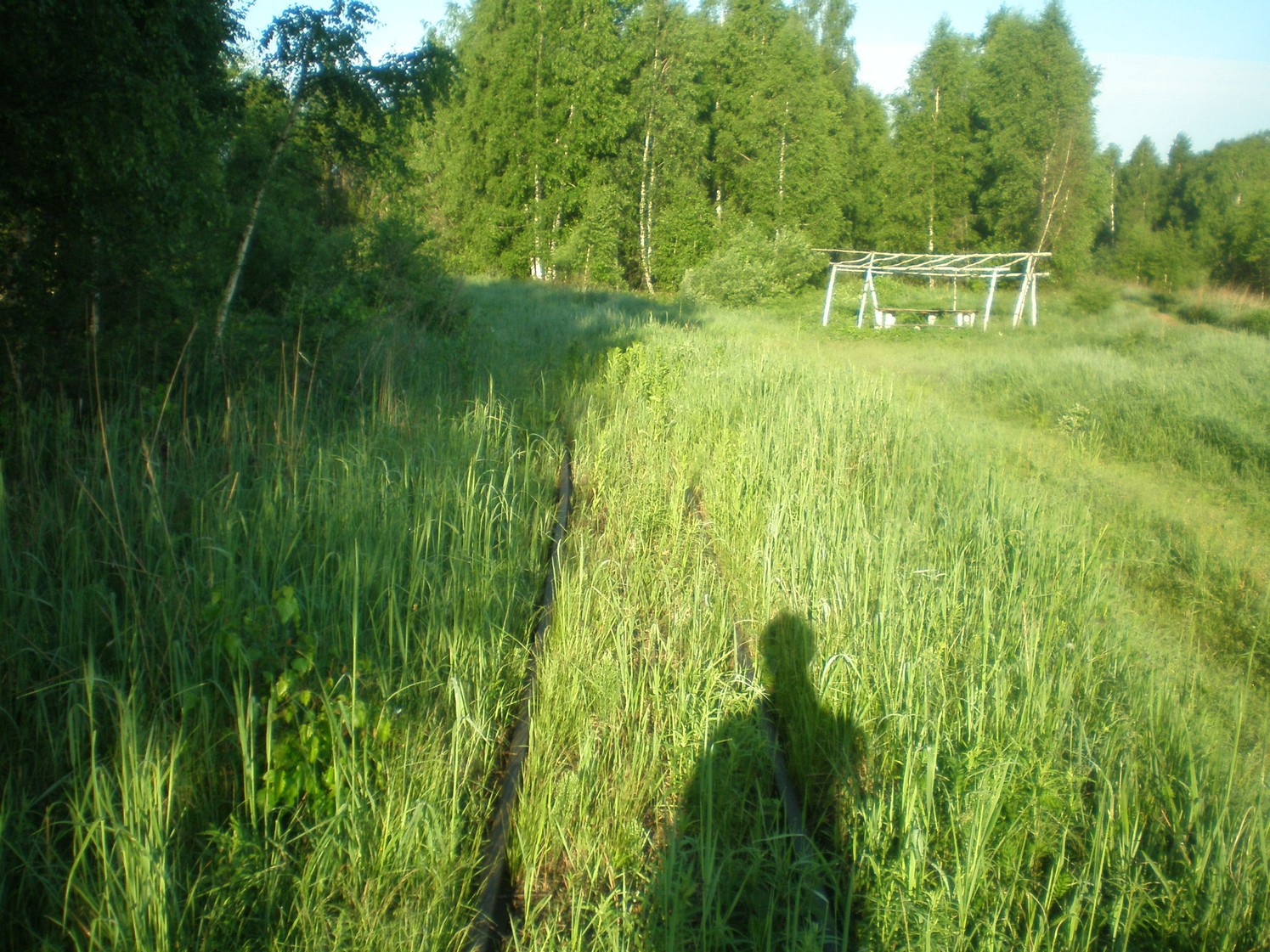Узкоколейная железная дорога Радовицкого  транспортного управления — фотографии, сделанные в 2009 году (часть 30)