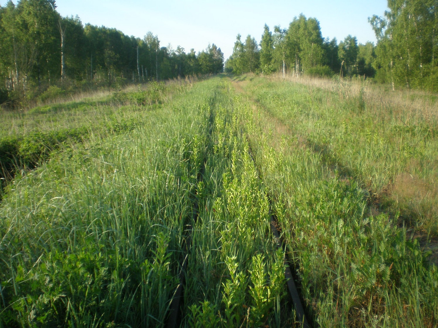 Узкоколейная железная дорога Радовицкого  транспортного управления — фотографии, сделанные в 2009 году (часть 31)