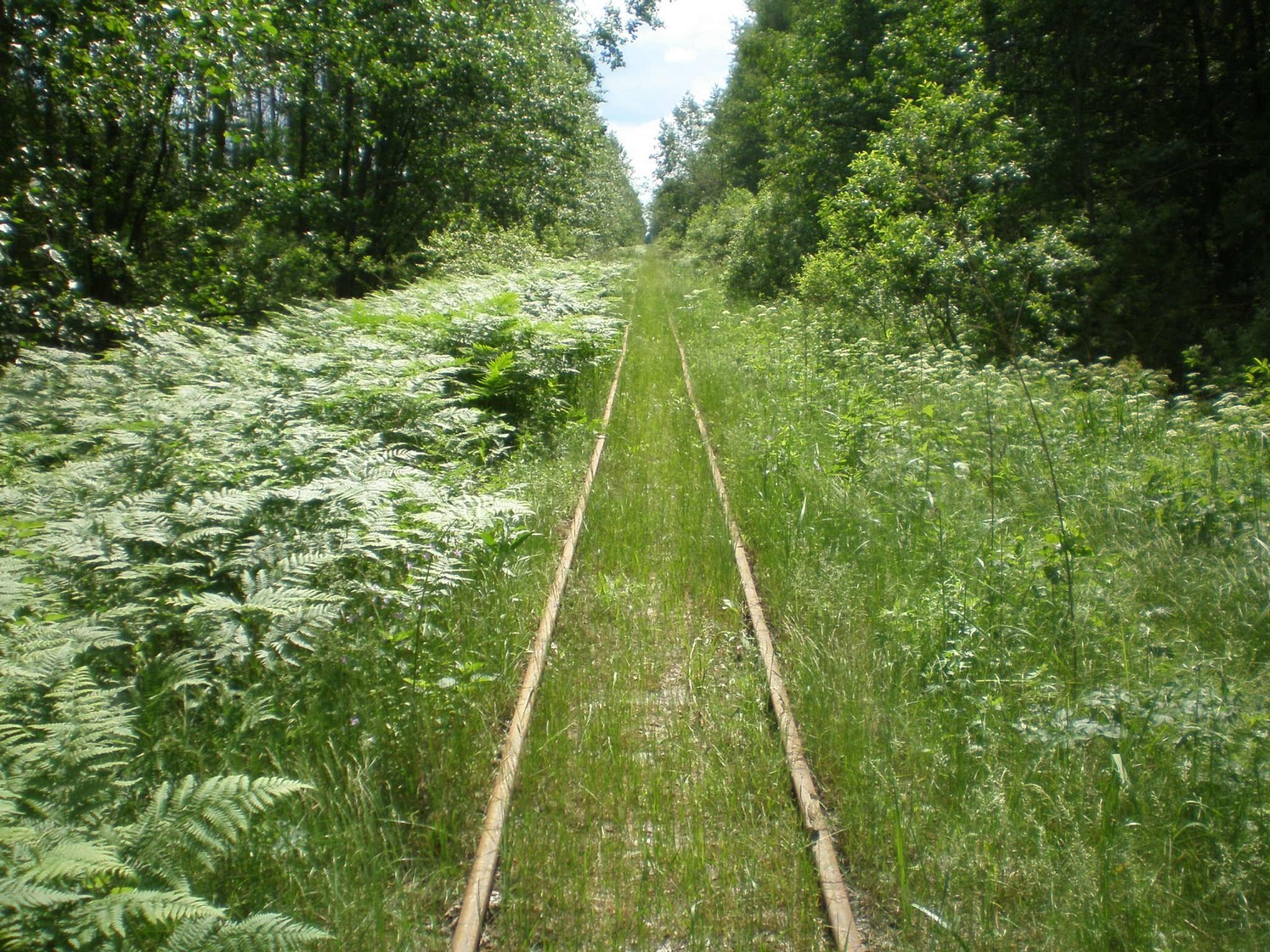 Узкоколейная железная дорога Радовицкого  транспортного управления — фотографии, сделанные в 2009 году (часть 4)