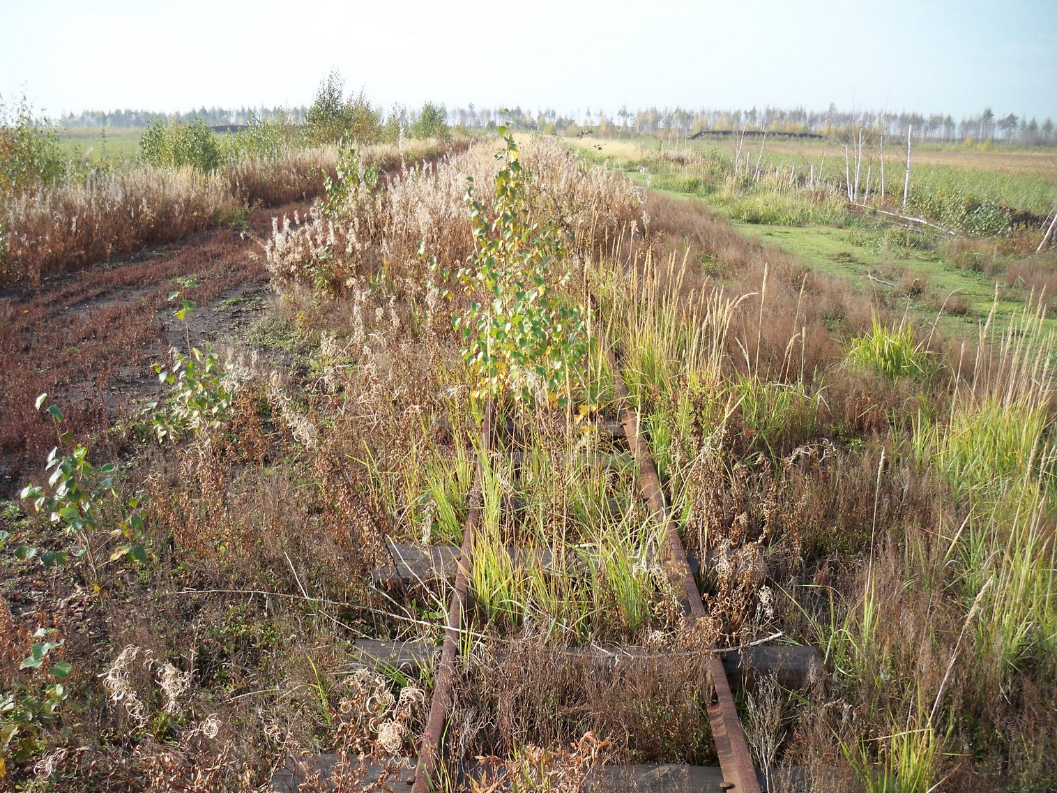 Узкоколейная железная дорога Солотчинского торфопредприятия — фотографии, сделанные в 2012 году (часть 6)