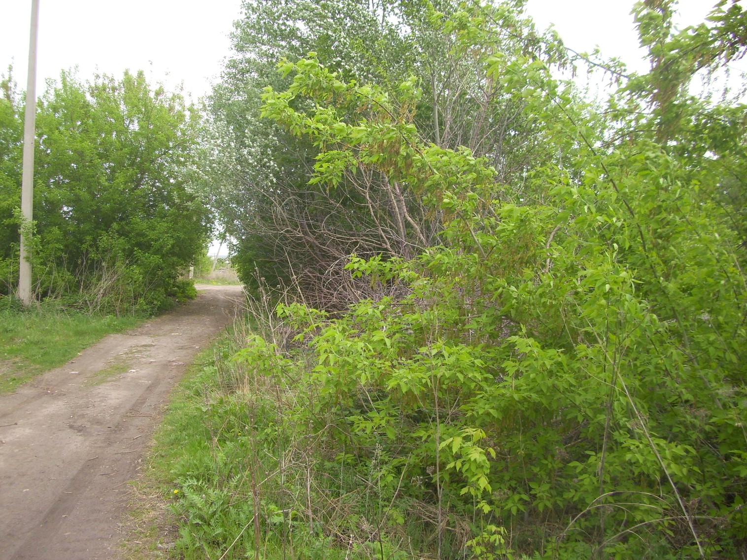 Железнодорожная линия Перевлес   —  Ясаково —  фотографии, сделанные в 2010 году (часть 6)