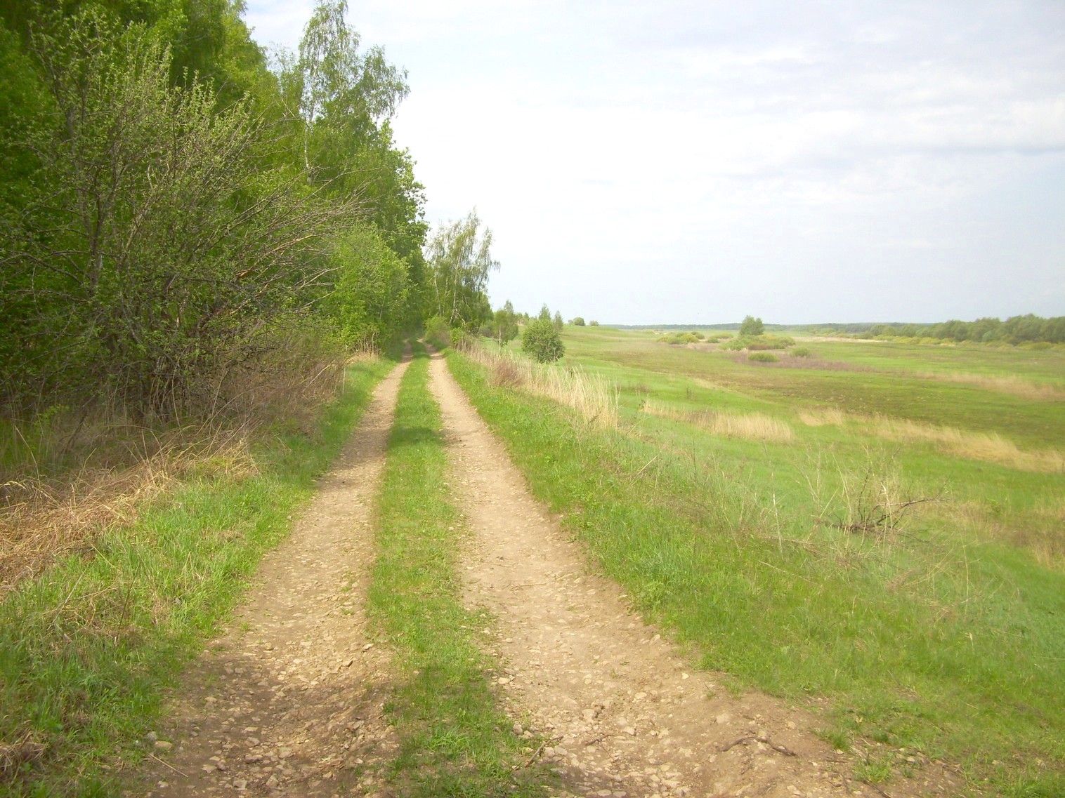 Железнодорожная линия Перевлес   —  Ясаково —  фотографии, сделанные в 2010 году (часть 8)