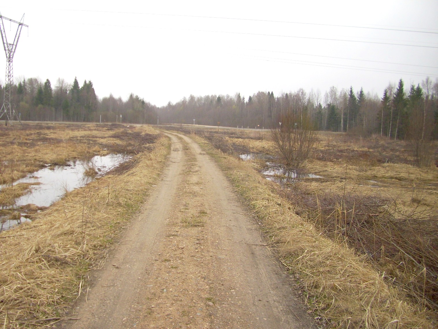 Пошехоно-Володарская узкоколейная железная дорога
  —  фотографии, сделанные в 2012 году (часть 1)