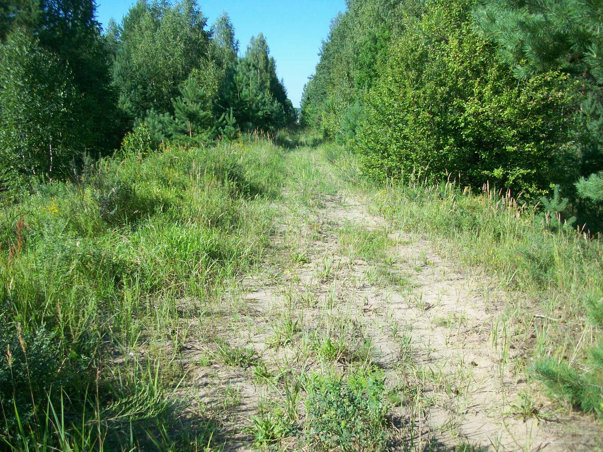 Железнодорожная линия Потьма — Барашево — фотографии, сделанные в 2015 году (часть 4)