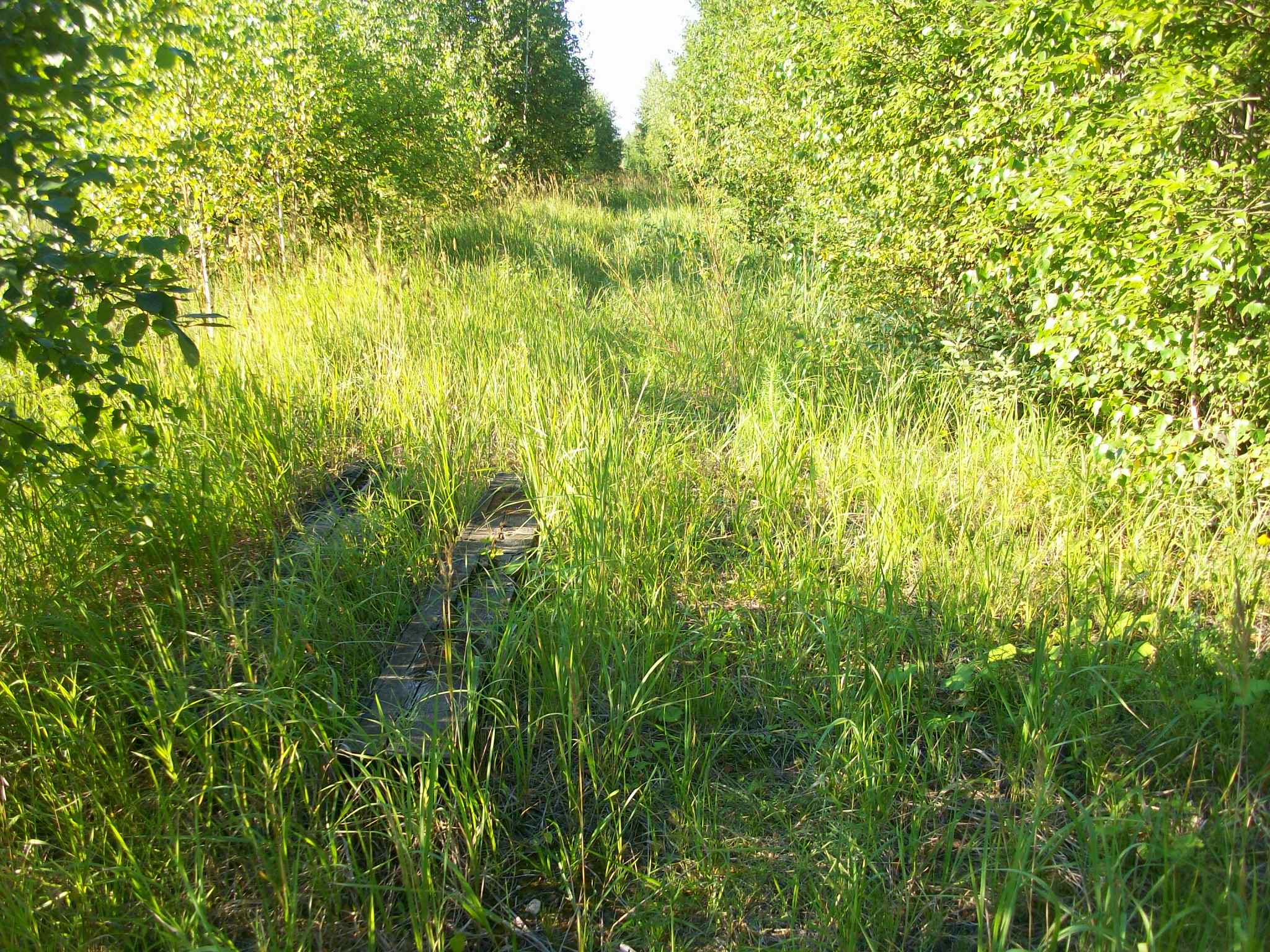 Железнодорожная линия Потьма — Барашево — фотографии, сделанные в 2015 году (часть 6)