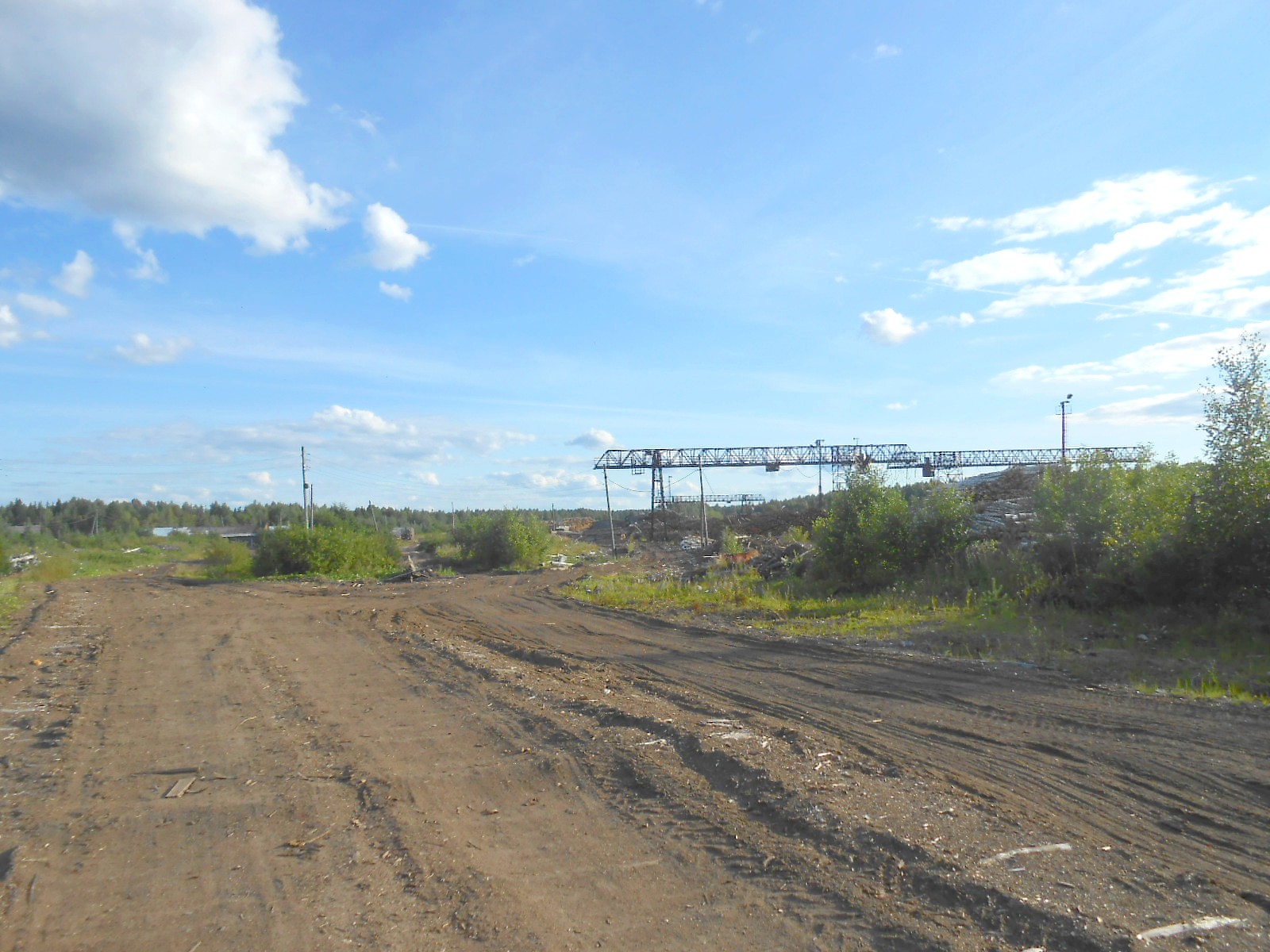 Лойгинская узкоколейная железная дорога
  —  фотографии, сделанные в 2017 году (часть 1)