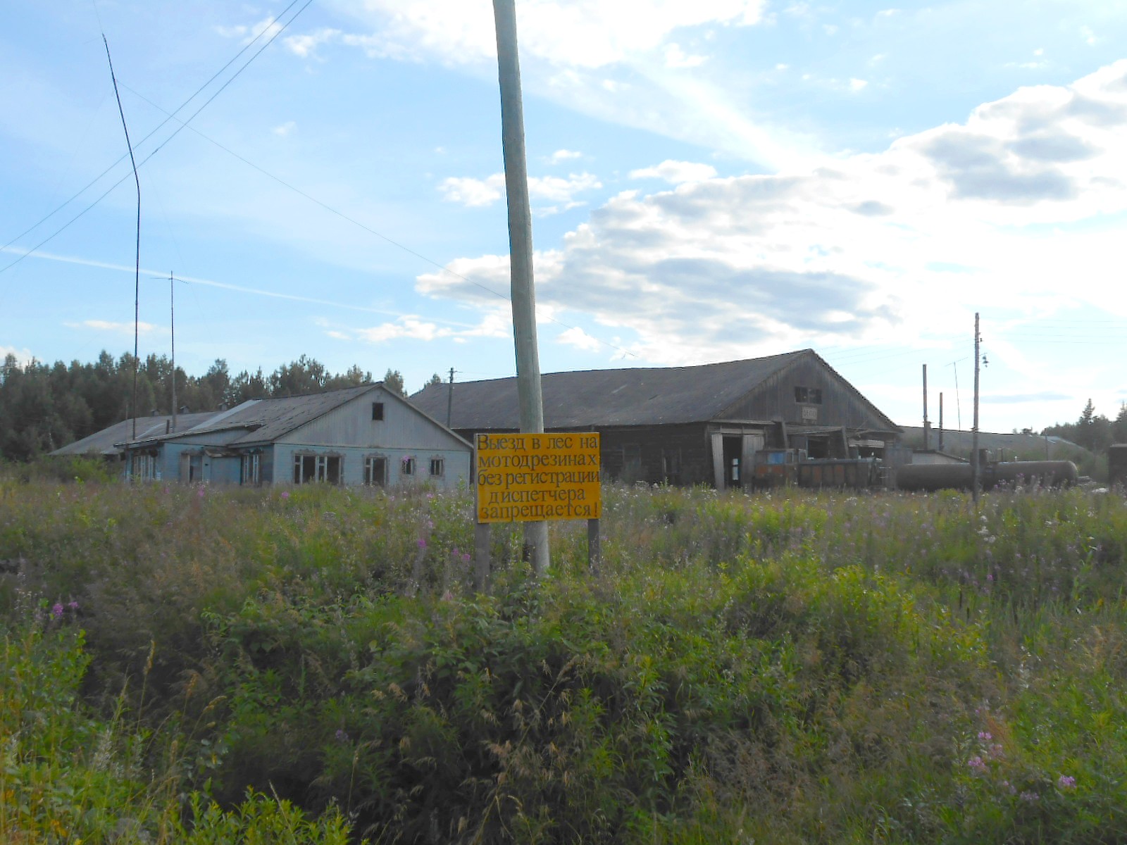 Лойгинская узкоколейная железная дорога
  —  фотографии, сделанные в 2017 году (часть 2)