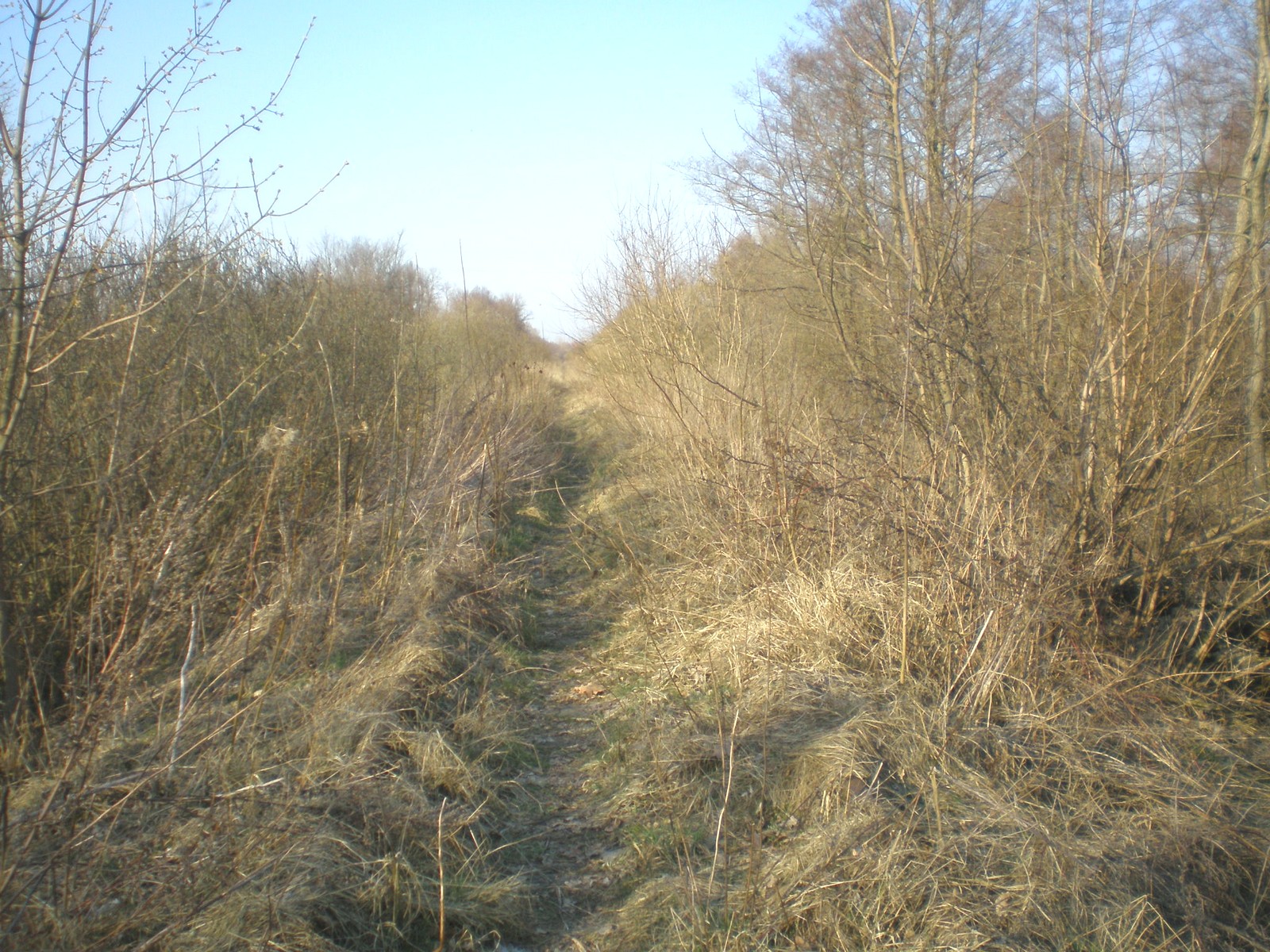 Железнодорожная линия Светлогорск — Приморск
  —  фотографии, сделанные в 2008 году (часть 2)