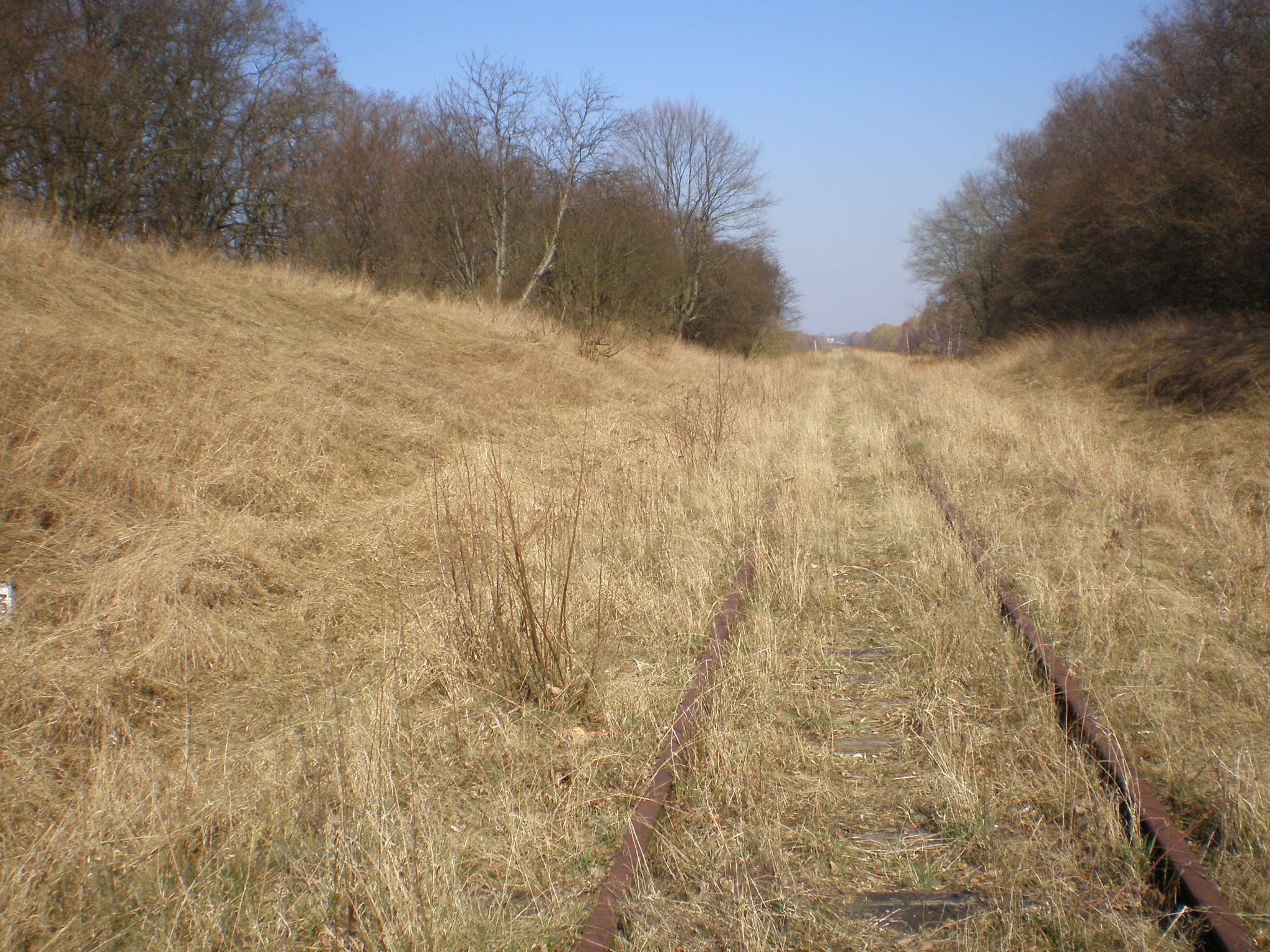 Железнодорожная линия Светлогорск — Приморск
  —  фотографии, сделанные в 2008 году (часть 11)
