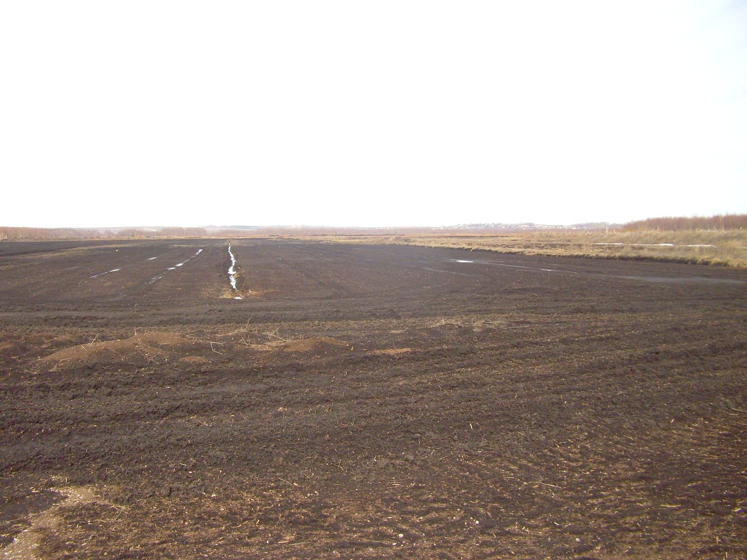 Узкоколейная  железная дорога Ронгинского торфопредприятия   —  фотографии, сделанные в 2011 году (часть 8)