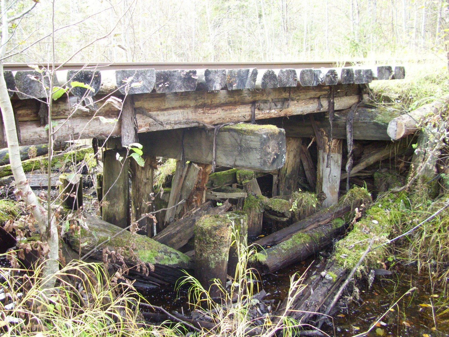 Семигородняя узкоколейная железная дорога
  —  фотографии, сделанные в 2010 году (часть 8)