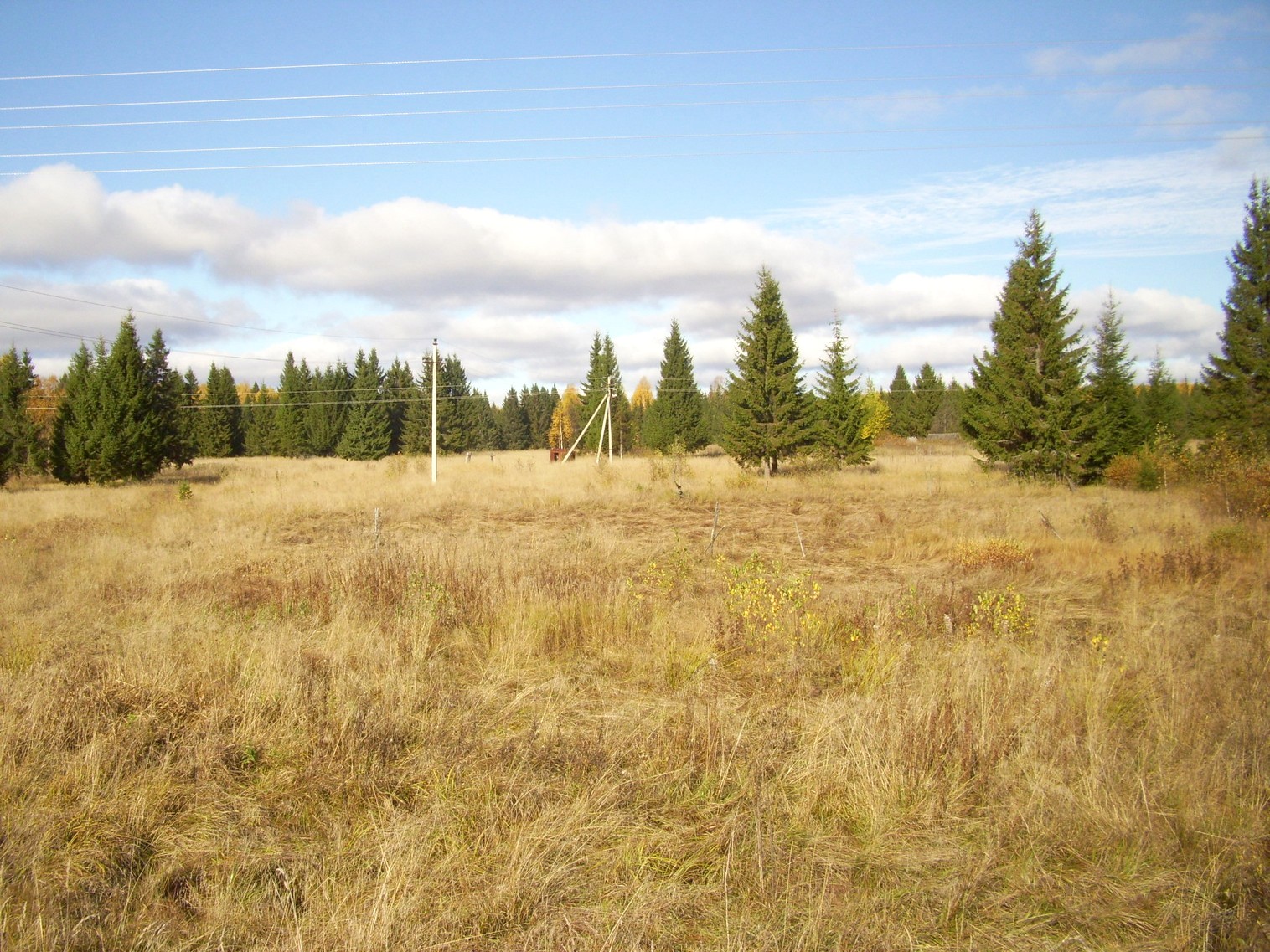 Семигородняя узкоколейная железная дорога
  —  фотографии, сделанные в 2010 году (часть 17)