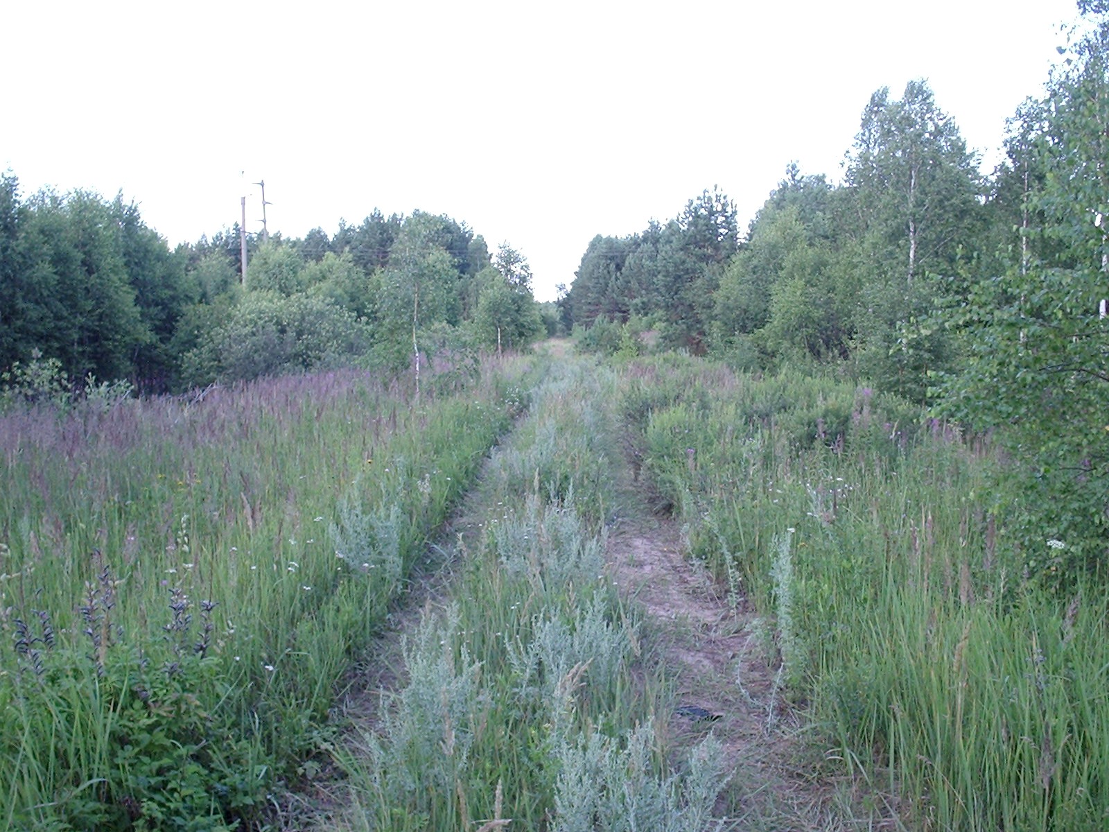 Узкоколейная железная дорога Горьковского предприятия промышленного железнодорожного транспорта - фотографии, сделанные в 2006 году (часть 2)