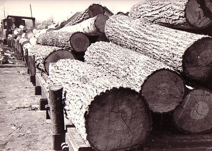 Узкоколейная железная дорога спичечной фабрики «Победа» (село Верхний Ломов) - фотографии (часть 1)