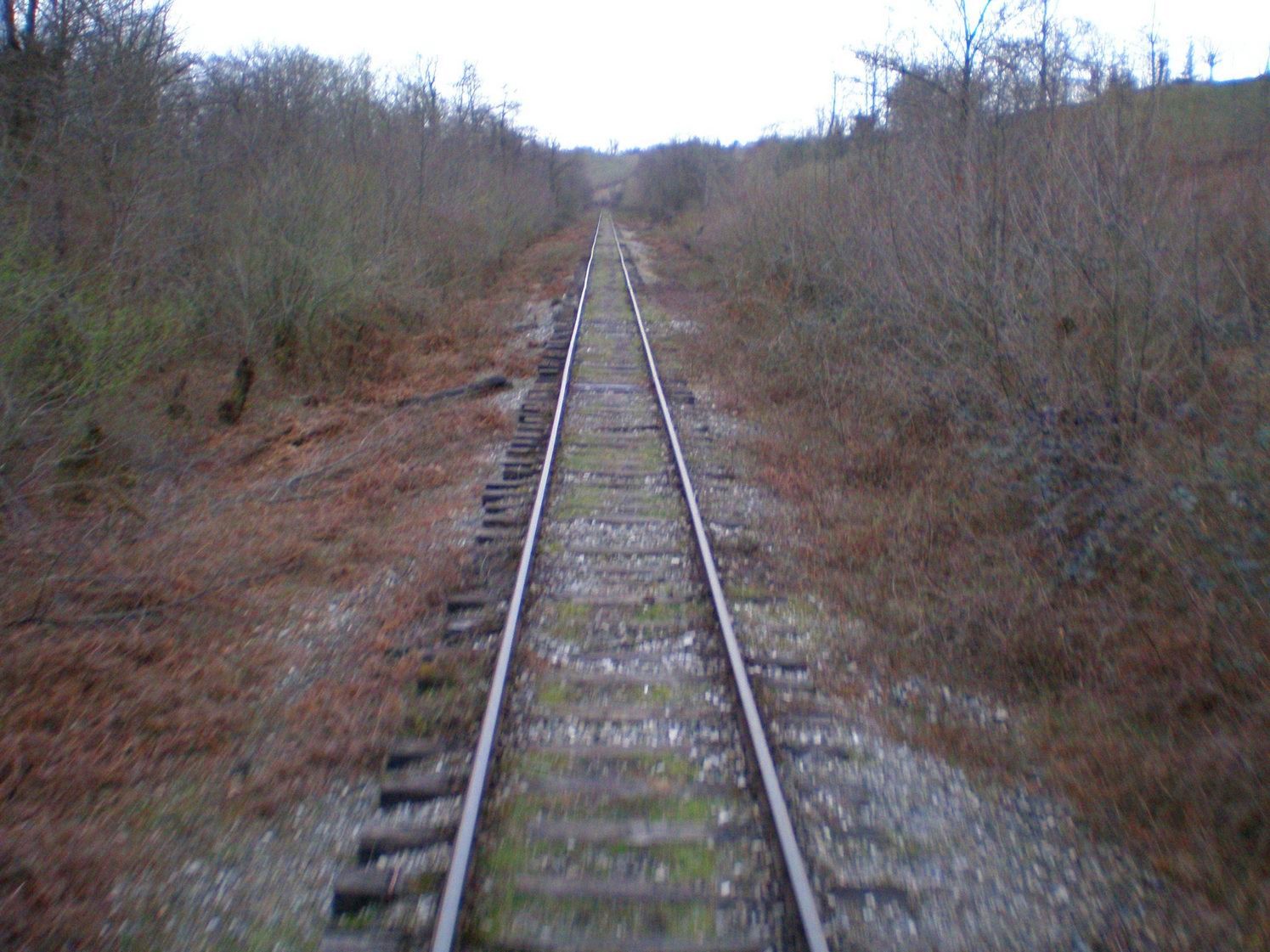 Абхазская железная дорога — фотографии, сделанные в 2008 году (часть 12)