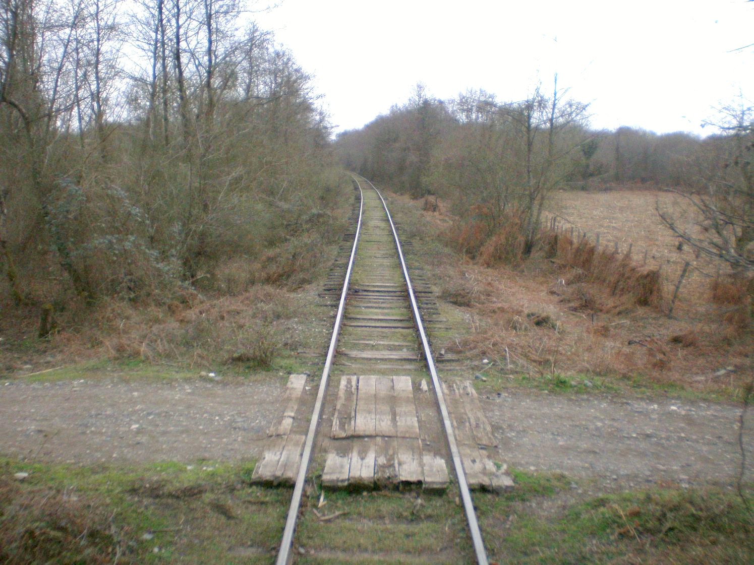 Абхазская железная дорога — фотографии, сделанные в 2008 году (часть 13)