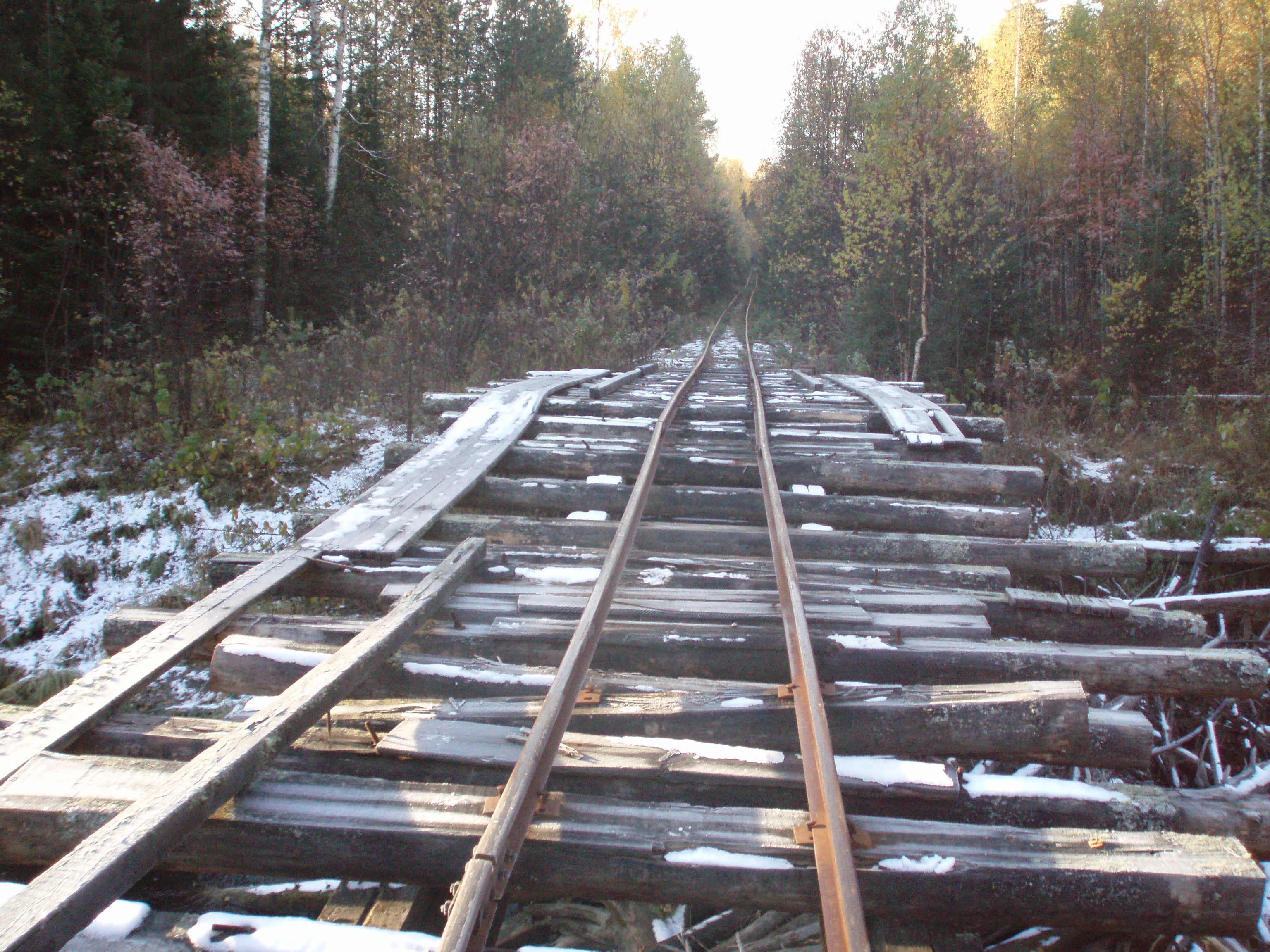 Андриановская узкоколейная железная дорога - фотографии (часть 3)