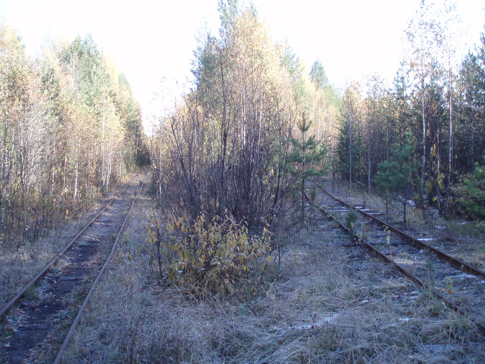 Андриановская узкоколейная железная дорога - фотографии (часть 4)