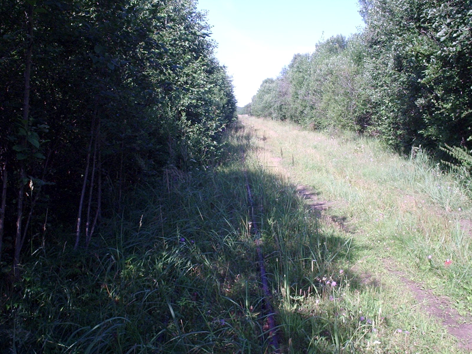 Узкоколейная железная дорога торфопредприятия «Дедово Поле» - фотографии (часть 5)