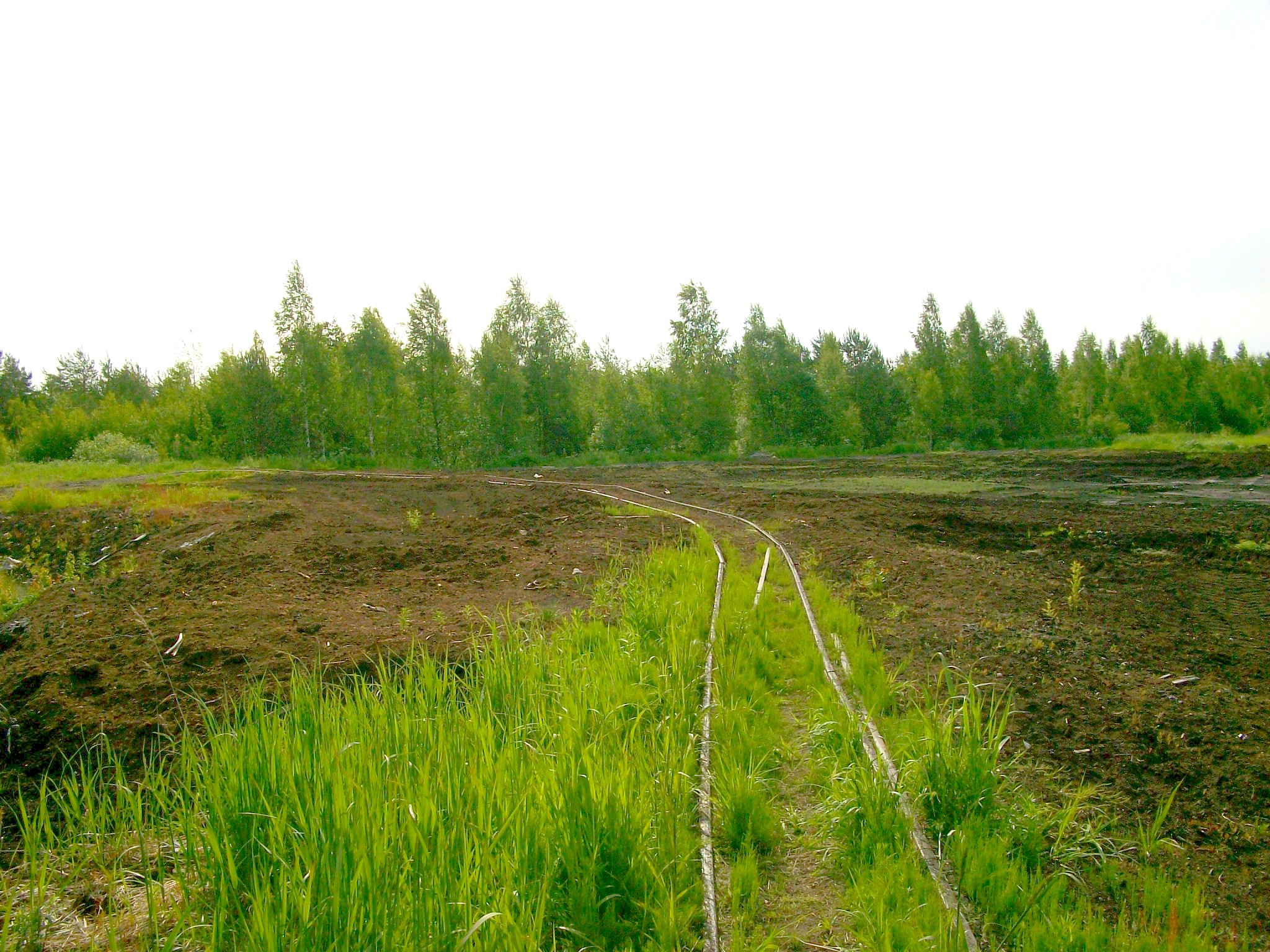 Узкоколейная железная дорога торфопредприятия «Гладкое
  —  фотографии, сделанные в 2015 году (часть 6)