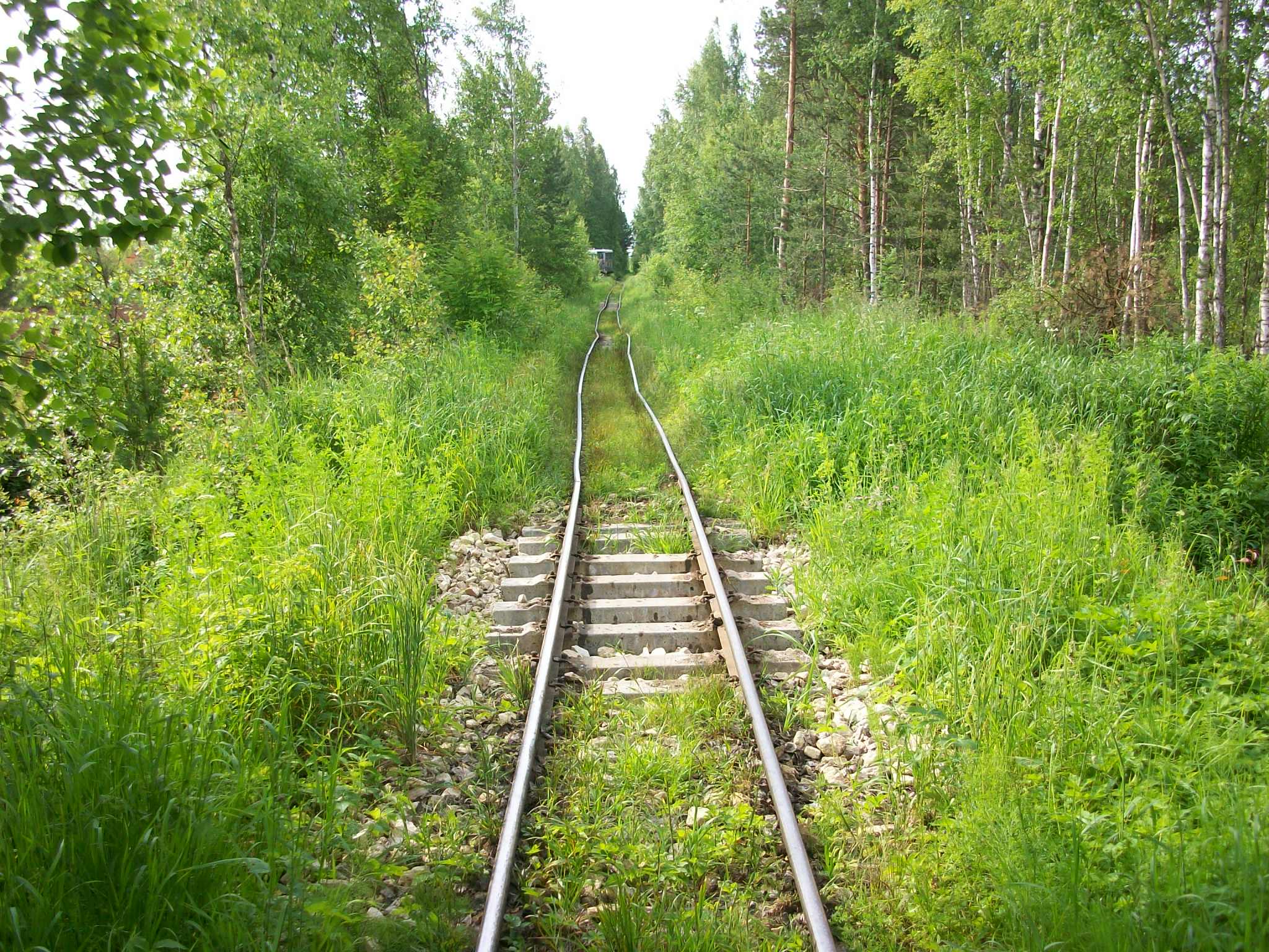 Узкоколейная железная дорога торфопредприятия «Гладкое
  —  фотографии, сделанные в 2015 году (часть 3)