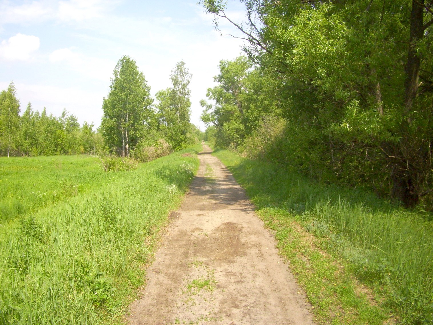 Узкоколейная железная дорога Гусевского предприятия промышленного железнодорожного транспорта
  —  фотографии, сделанные в 2011 году (часть 1)