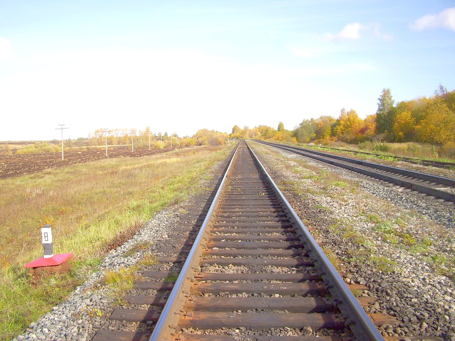 Железнодорожная линия Никашновка — Нижнекамск
  —  фотографии, сделанные в 2009 году