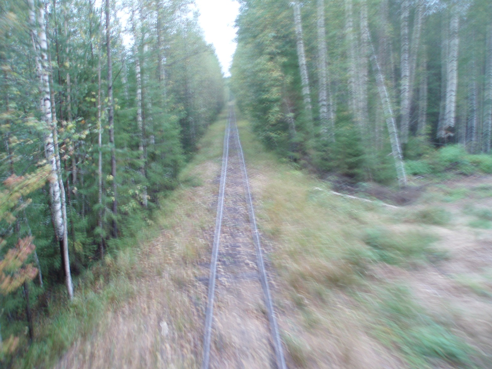 Октябрьская узкоколейная железная дорога - фотографии (часть 3)