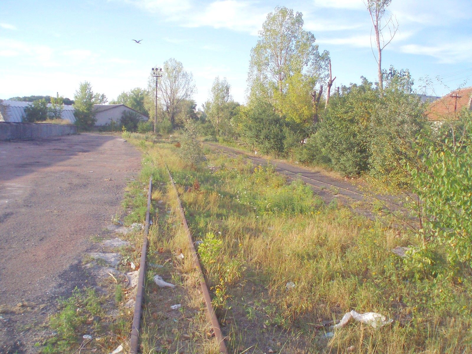 Боржавская узкоколейная железная дорога
  —  фотографии, сделанные в 2007 году (часть 1)