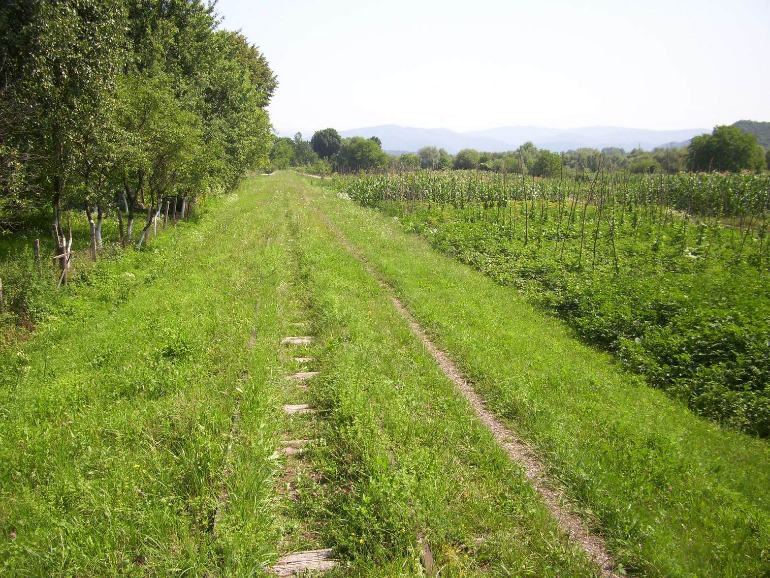 Боржавская узкоколейная железная дорога
  —  фотографии, сделанные в 2011 году (часть 7)