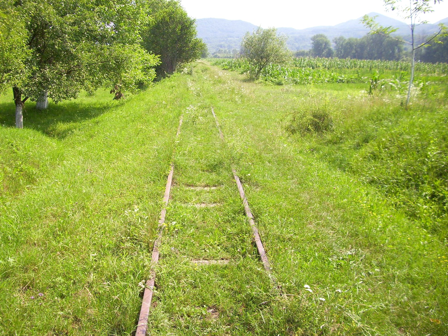 Боржавская узкоколейная железная дорога
  —  фотографии, сделанные в 2011 году (часть 8)
