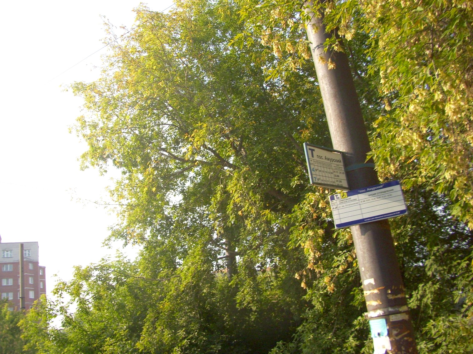 Омский трамвай  —  фотографии, сделанные в 2010 году (часть 2)