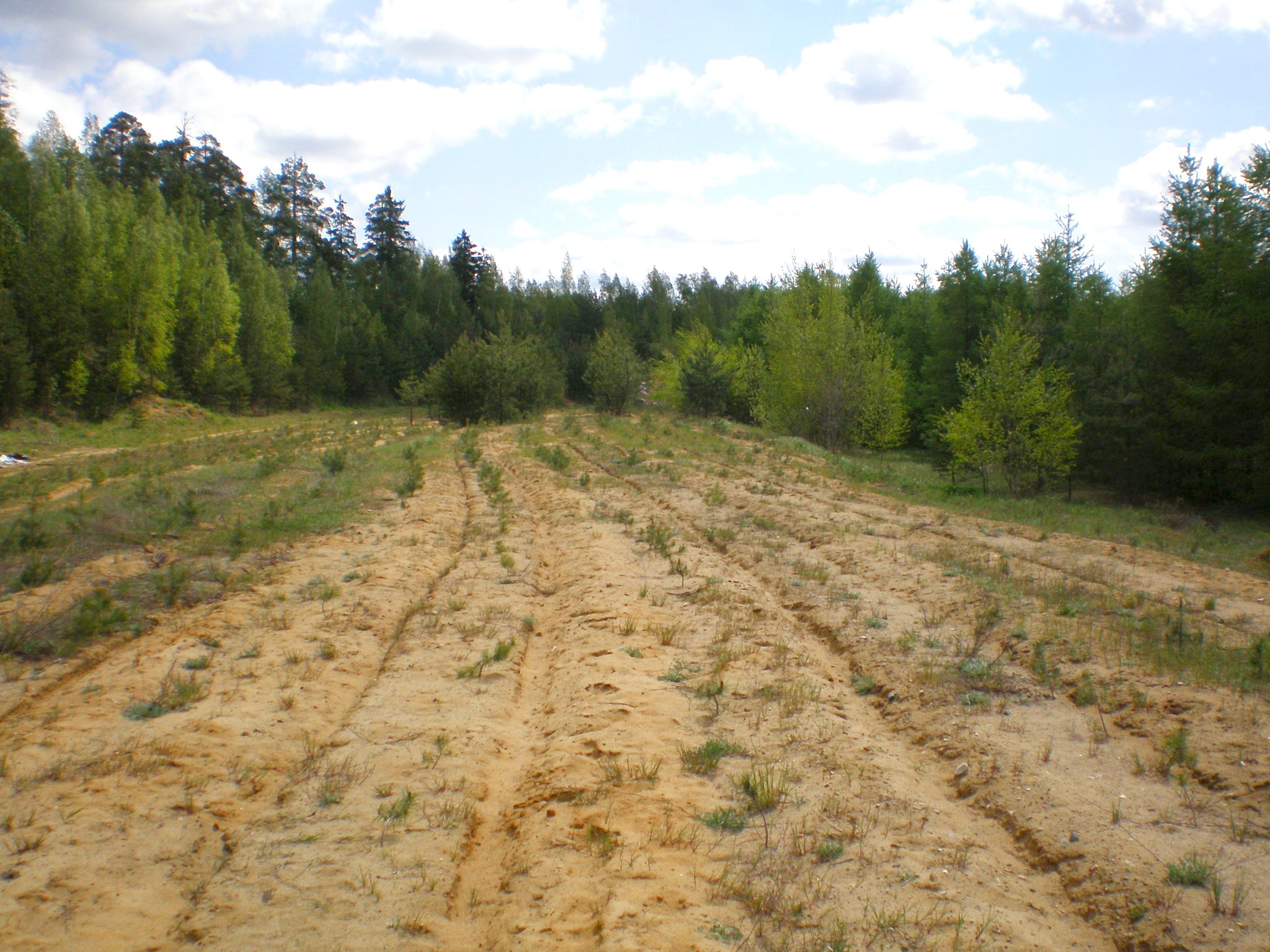 Узкоколейная  железная дорога Ивановского силикатного завода  —  фотографии, сделанные в 2008 году (часть 1)