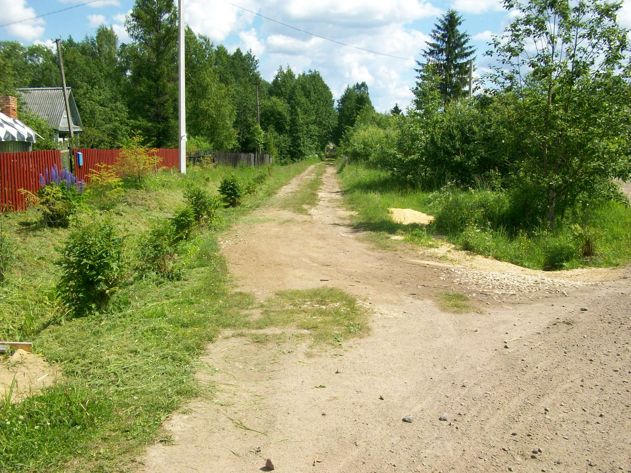 Мшинская узкоколейная железная дорога — фотографии, сделанные в 2015 году