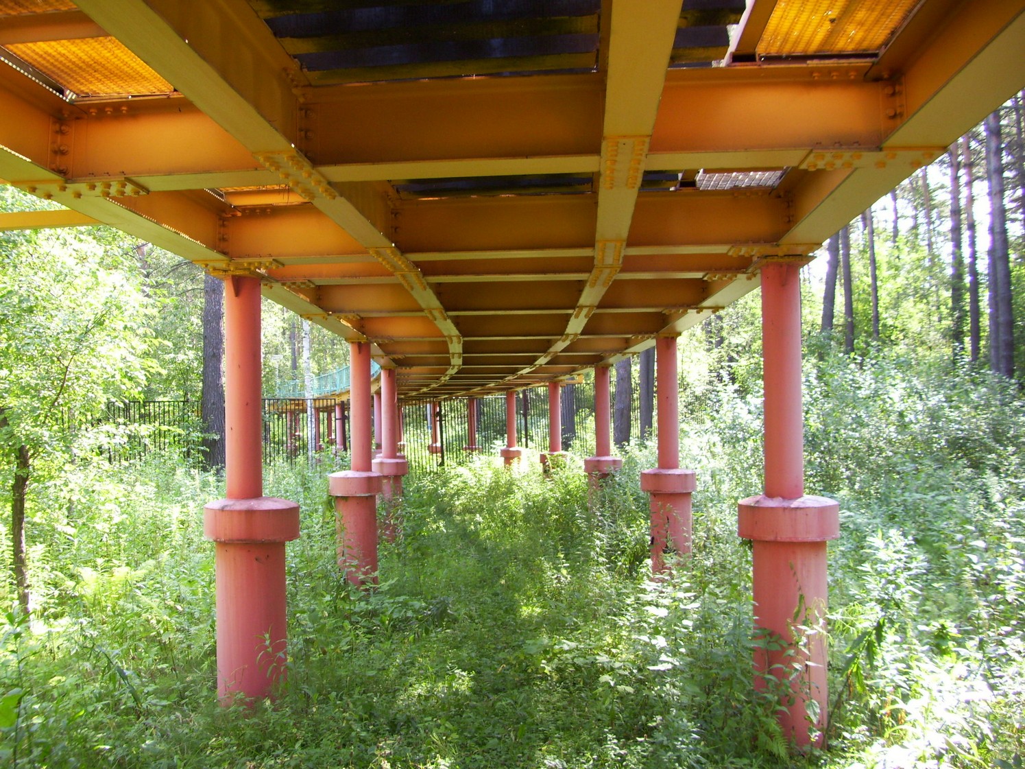 Малая Западно-Сибирская (Новосибирская) детская железная дорога  —  фотографии, сделанные в 2009 году (часть 4)