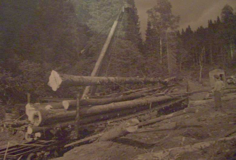 Симкинская узкоколейная железная дорога