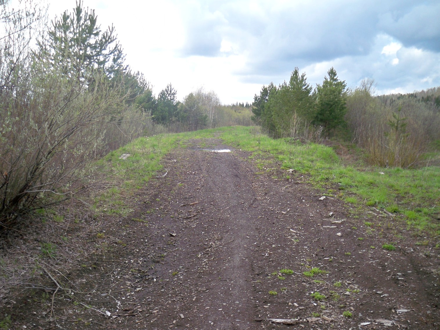 Тисульская узкоколейная железная дорога
  —  фотографии, сделанные в 2013 году