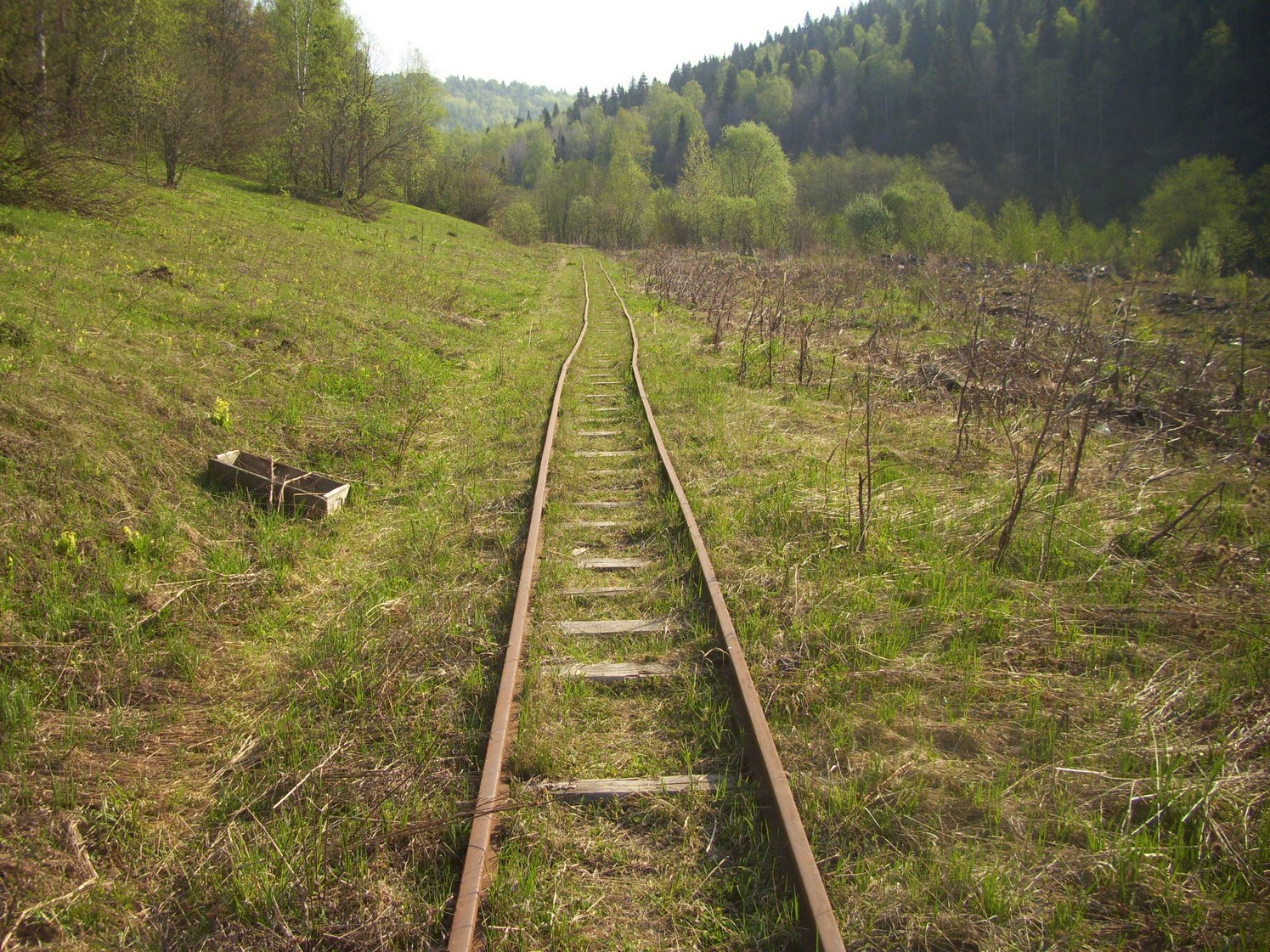 Яман-Елгинская узкоколейная железная дорога — фотографии, сделанные в 2010 году (часть 9)