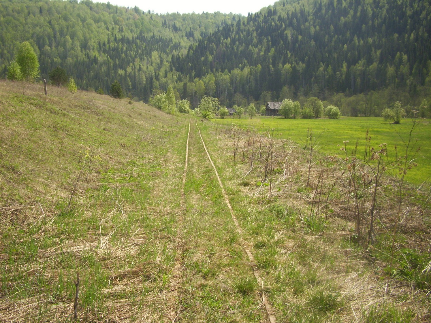 Яман-Елгинская узкоколейная железная дорога — фотографии, сделанные в 2010 году (часть 14)
