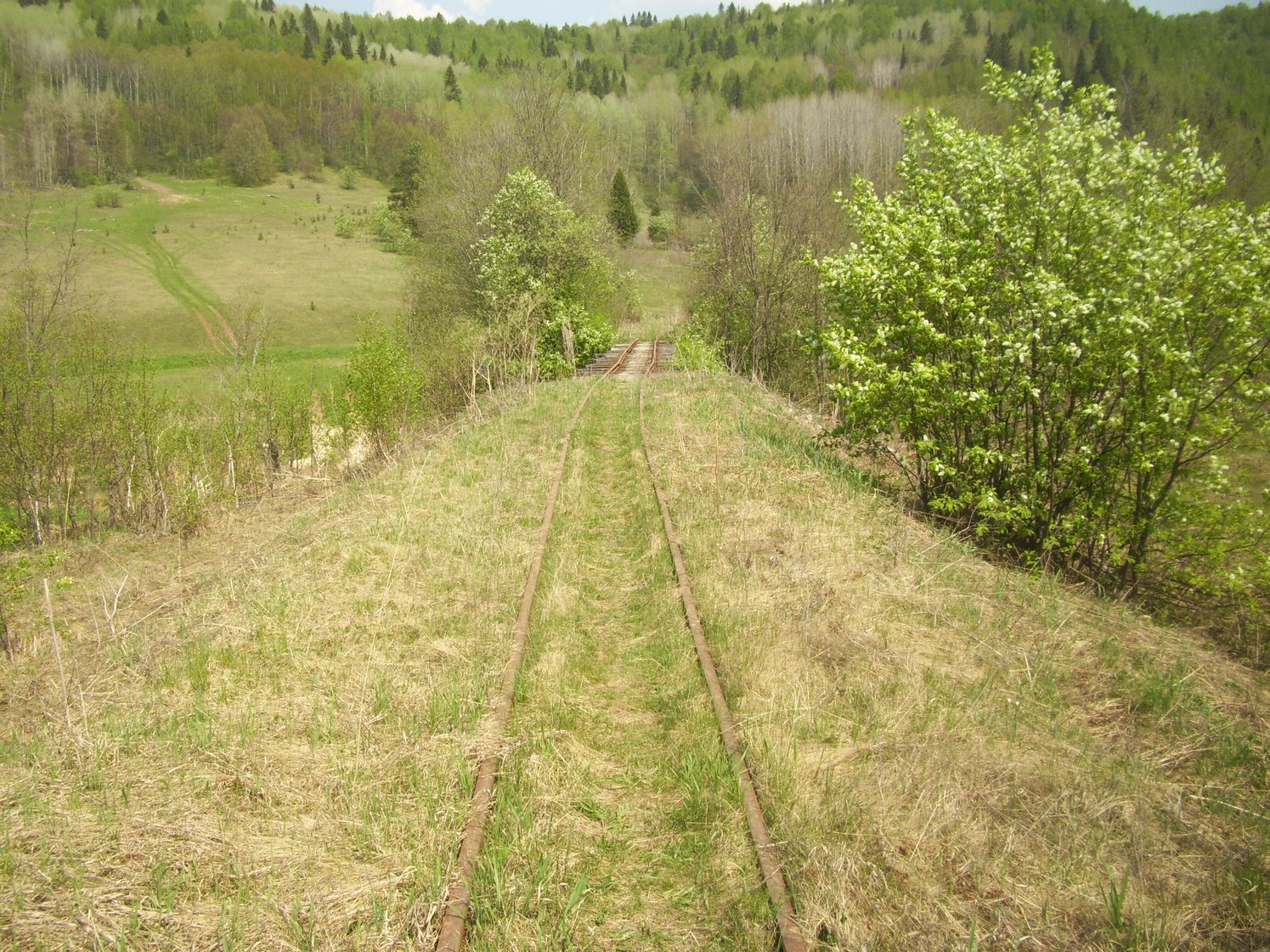 Яман-Елгинская узкоколейная железная дорога — фотографии, сделанные в 2010 году (часть 15)