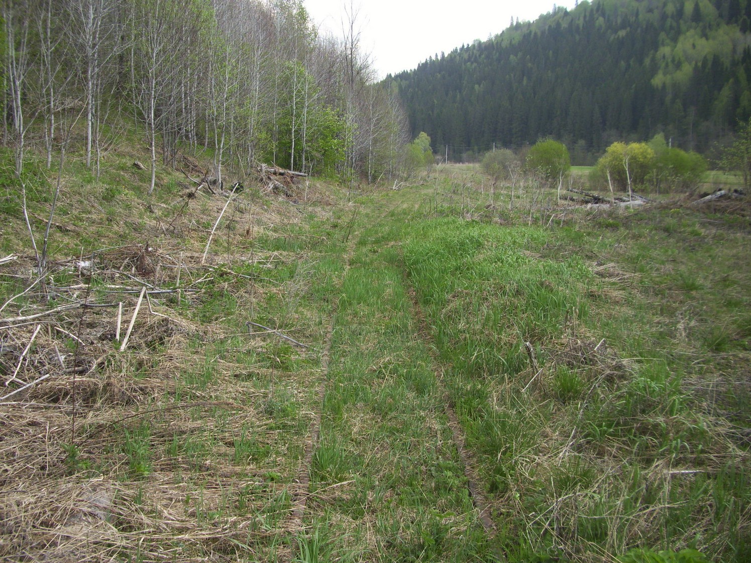 Яман-Елгинская узкоколейная железная дорога — фотографии, сделанные в 2010 году (часть 17)